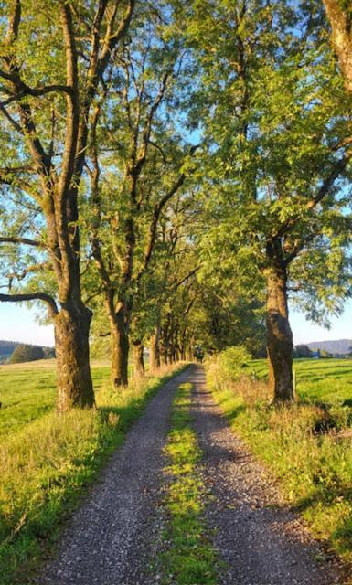 Rennsteighotel Grüner Baum Schmiedefeld am Rennsteig Exterior foto